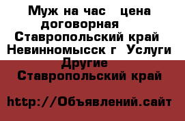 Муж на час , цена договорная . - Ставропольский край, Невинномысск г. Услуги » Другие   . Ставропольский край